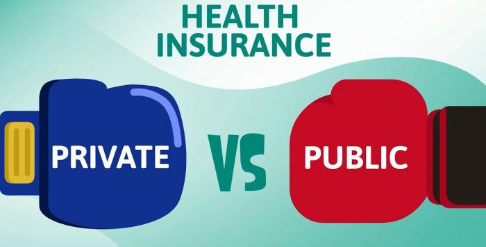 Private vs Public Health Insurance: What‘s the Difference?